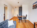 apartment München Giesing 05 living area 13094