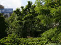 apartment München Gärtnerplatzviertel 01 view 1348