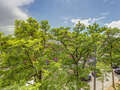 apartment München Neuhausen 02 view 13994