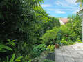 apartment with garden 	 München Herzogpark 02 terrace 1401