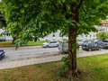 apartment München Obergiesing 02 view 14087
