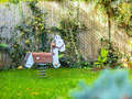 apartment with garden 	 München Solln 03 garden 14197
