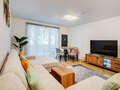 apartment München Untergiesing 02 living area 14502