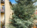 apartment München Neuhausen 02 view 14523