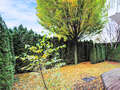 apartment with garden 	 München Denning 01 garden 14634