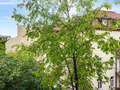 apartment München Schwabing-West 01 view 14894