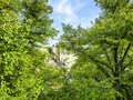 apartment München Neuhausen 01 view 14943
