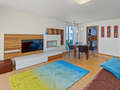 apartment München Nymphenburg 03 living area 14977