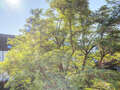 apartment München Ludwigsvorstadt 01 view 15023