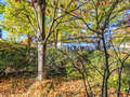apartment München Fürstenried 03 view 15055