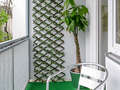 studio München Schwabing (links der Leopoldstraße) 01 balcony 2333