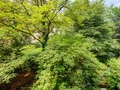 studio München Schwabing-West 02 view 2711