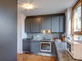 apartment with garden 	 München Harlaching 01 kitchen 4247
