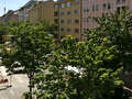apartment München Maxvorstadt - Museumsviertel 03 view 4289