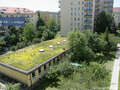 apartment München Schwabing-West 04 view 4617