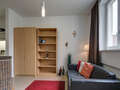 apartment München Lehel 06 living room 5111