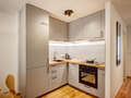 apartment with garden 	 München Solln 01 kitchen 515