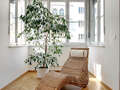 apartment München Altbogenhausen 09 living room 5506
