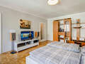 apartment München Giesing 03 living room 5677