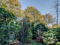 studio München Milbertshofen 01 garden 5833