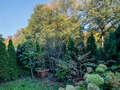 studio München Milbertshofen 02 garden 5833