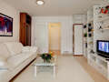 apartment München Pasing 05 living room 5918