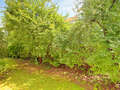 apartment München Schwabing - Alte Heide 01 view 6261