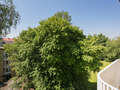 studio München Bogenhausen 01 view 7047