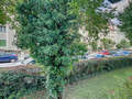 apartment München Neuhausen 01 view 7116