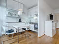 apartment München Schwabing-Nord (zw. Leopoldstraße & Englischen Garten) 03 living room 8015