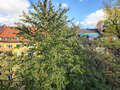 apartment München Neuhausen 02 view 8591