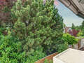 apartment München Bogenhausen 02 view 8668