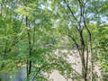 studio München Isarvorstadt 02 view 8737