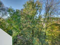 apartment München Thalkirchen 01 view 9000