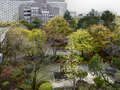 roof terrace apartment München Arabellapark 01 view 9024