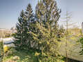 apartment München Schwabing (rechts der Leopoldstraße) 01 view 9457