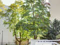 apartment München Neuhausen 01 view 9686
