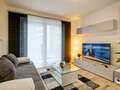 apartment München Ludwigsvorstadt 02 living room 9842
