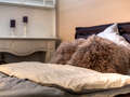 apartment München Schwabing-West (rund um den Hohenzollernplatz) 02 sleeping area 9957