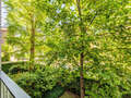 apartment München Ludwigsvorstadt 03 view 9983