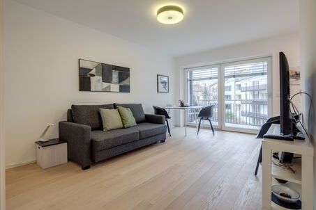 https://www.mrlodge.com/rent/1-room-apartment-munich-nymphenburg-10315