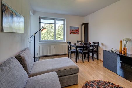 https://www.mrlodge.com/rent/2-room-apartment-munich-giesing-10669