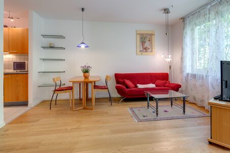 https://www.mrlodge.com/rent/1-room-apartment-munich-maxvorstadt-1111