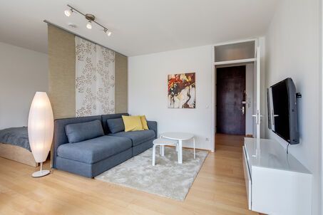 https://www.mrlodge.com/rent/1-room-apartment-munich-maxvorstadt-11115