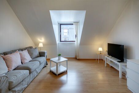 https://www.mrlodge.com/rent/2-room-apartment-munich-gaertnerplatzviertel-11127