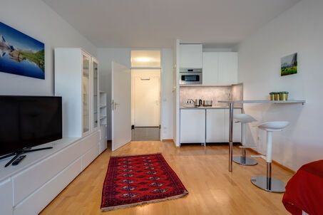 https://www.mrlodge.com/rent/1-room-apartment-munich-schwabing-west-11260