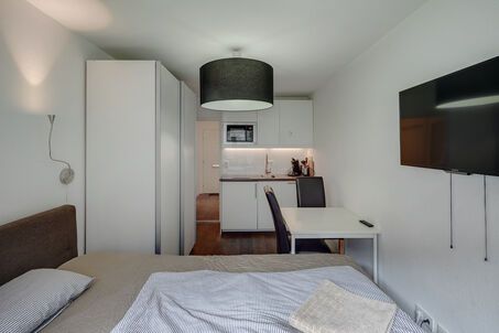 https://www.mrlodge.com/rent/1-room-apartment-munich-maxvorstadt-11316