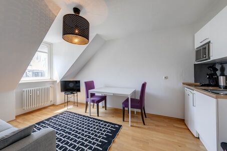 https://www.mrlodge.com/rent/1-room-apartment-munich-maxvorstadt-11700