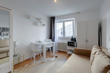 https://www.mrlodge.com/rent/1-room-apartment-munich-maxvorstadt-11872