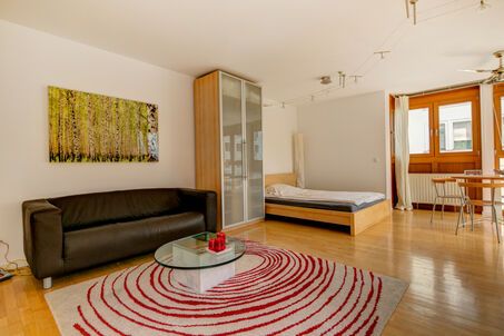 https://www.mrlodge.com/rent/1-room-apartment-munich-maxvorstadt-1225